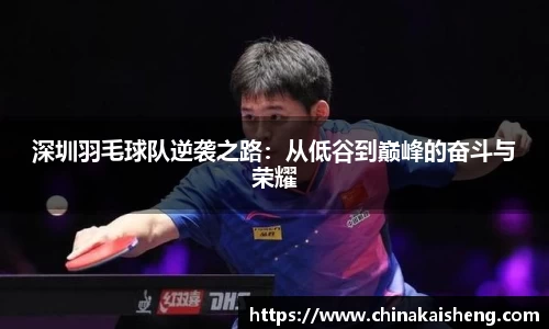 深圳羽毛球队逆袭之路：从低谷到巅峰的奋斗与荣耀