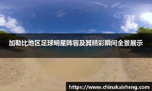 加勒比地区足球明星阵容及其精彩瞬间全景展示